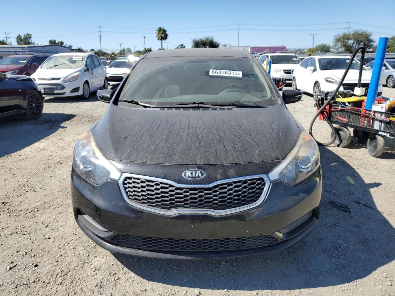 2016 Kia Forte Lx VIN: KNAFX4A67G5551455 Lot: 66836315