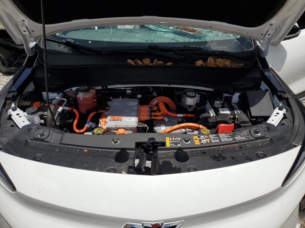 2022 Chevrolet Bolt Euv Premier VIN: 1G1FZ6S00N4125170 Lot: 64887885