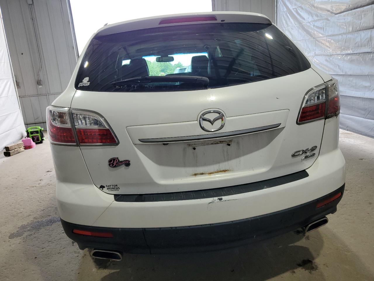 2010 Mazda Cx-9 VIN: JM3TB3MA5A0237619 Lot: 61635835