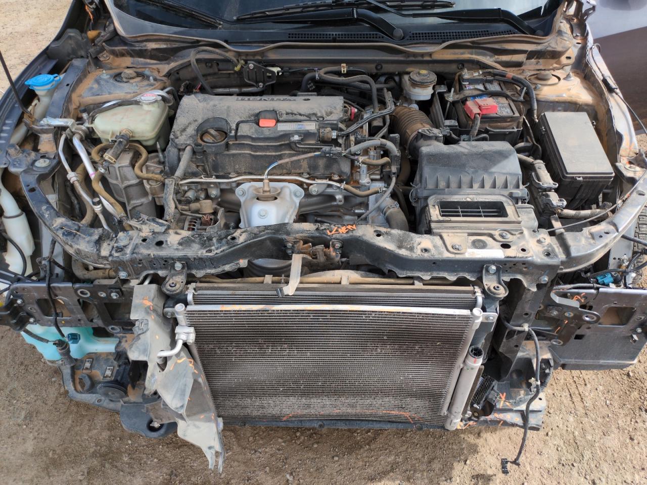 2020 Honda Civic Lx VIN: 19XFC2F65LE003125 Lot: 65002065