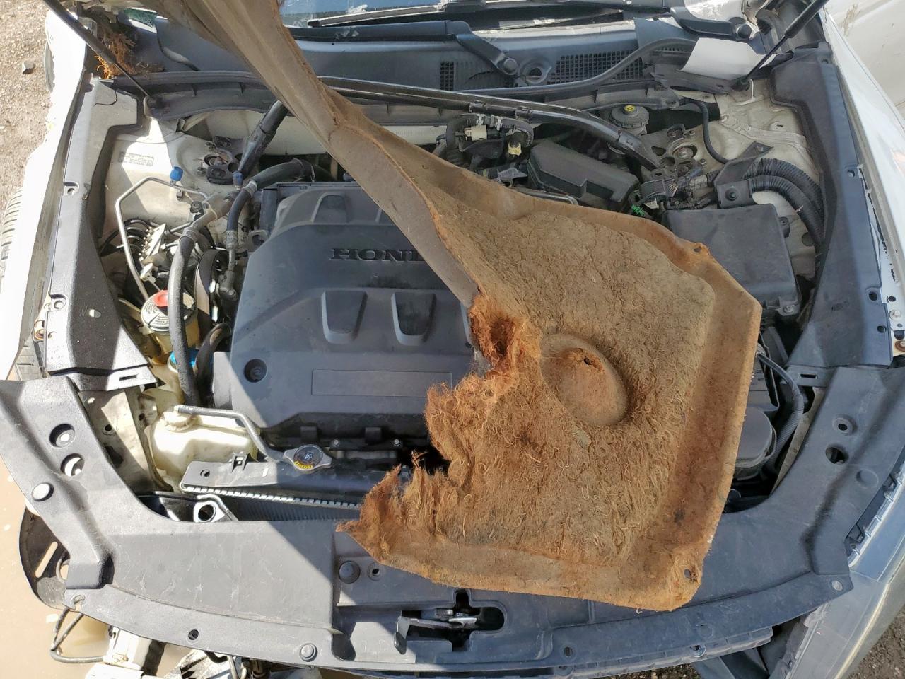 2012 Honda Crosstour Exl VIN: 5J6TF1H56CL000678 Lot: 83965455