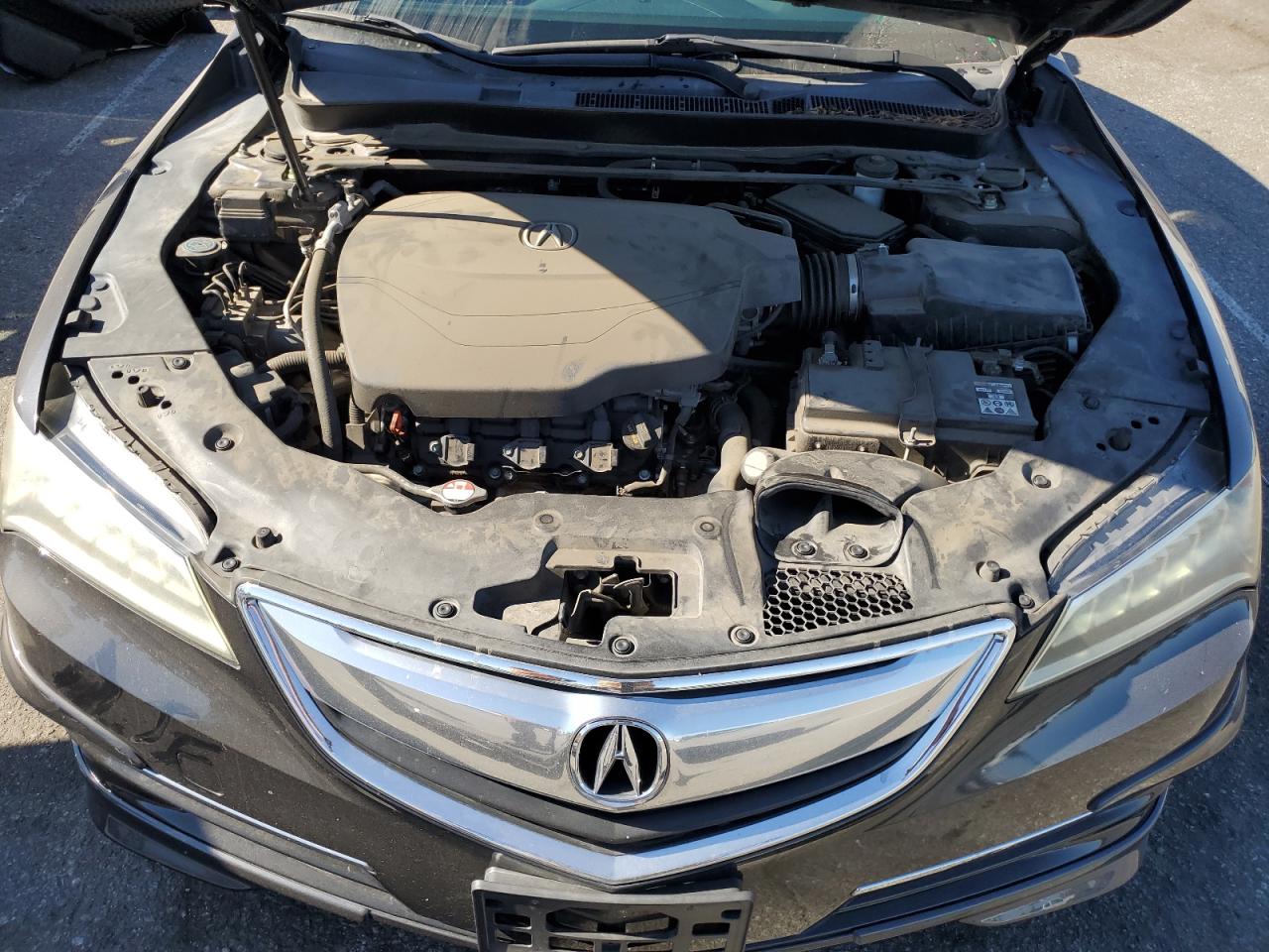 19uub2f55fa002650 19UUB2F55FA002650 2015 Acura Tlx Tech