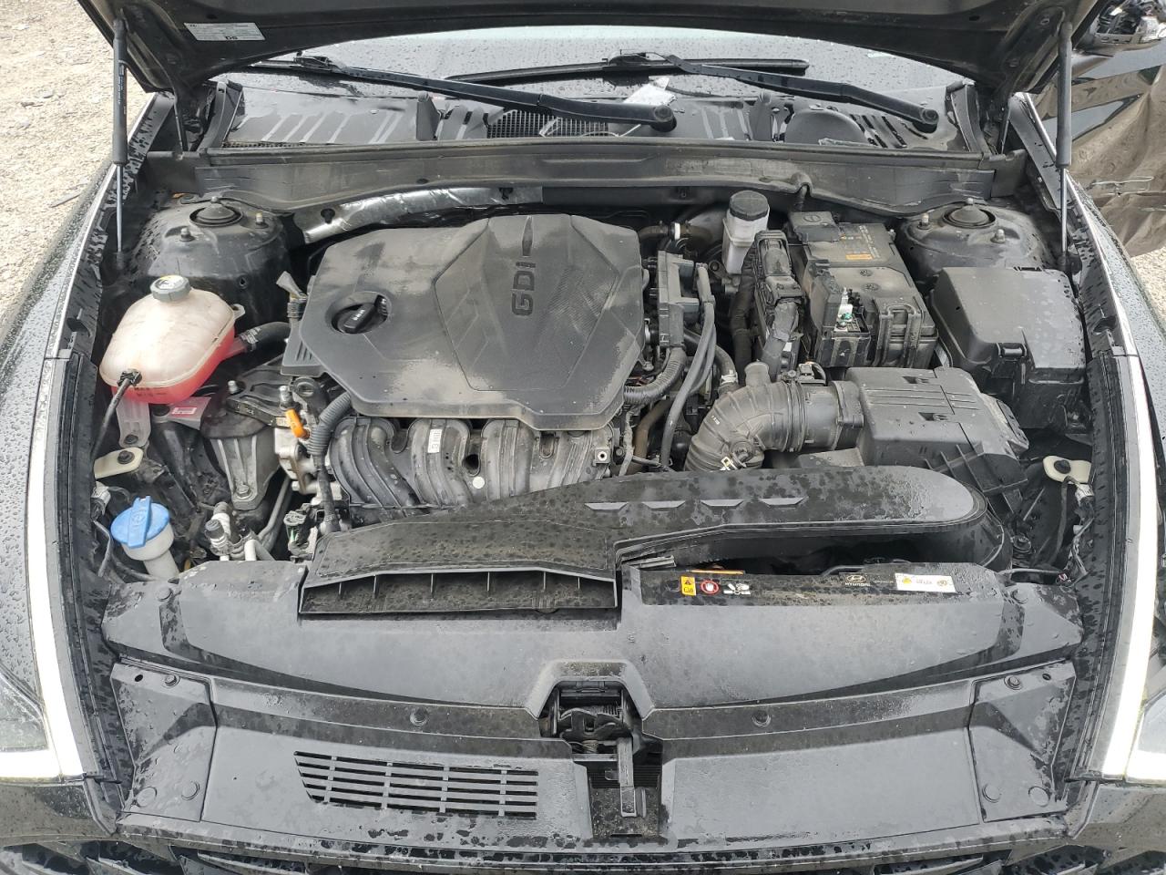 2022 Hyundai Sonata Sel VIN: KMHL14JA5NA206856 Lot: 63929945