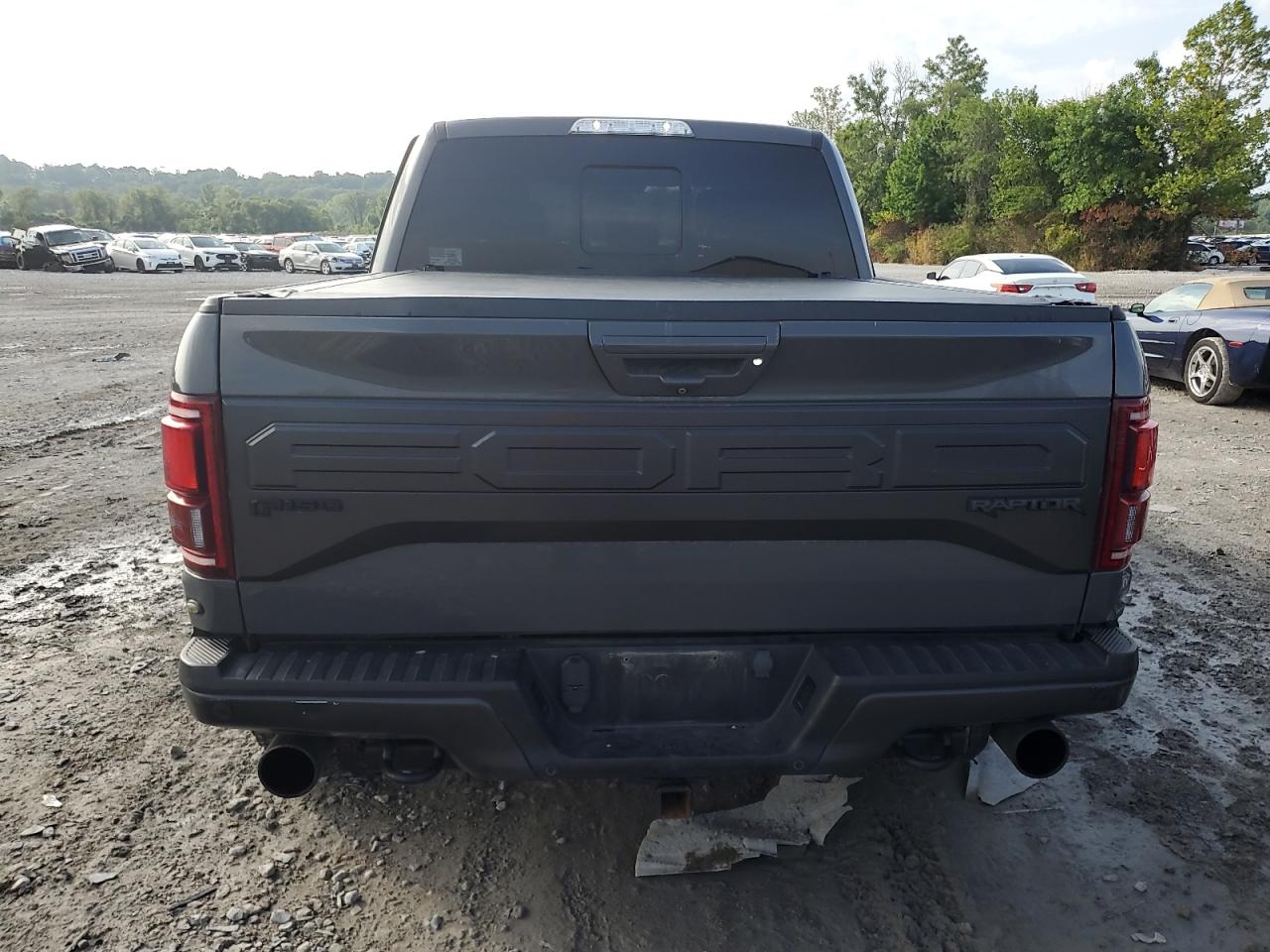 2018 Ford F150 Raptor VIN: 1FTFW1RG3JFB11154 Lot: 65746195