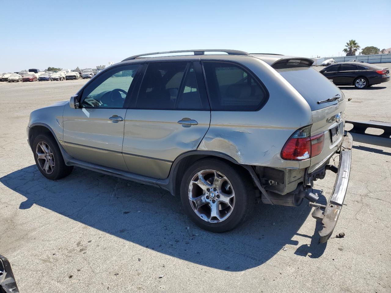 2005 BMW X5 3.0I VIN: 5UXFA13595LY23664 Lot: 65581835
