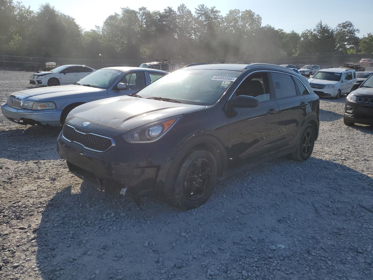 kndcb3lc5k5263718 KNDCB3LC5K5263718 2019 Kia Niro Fe