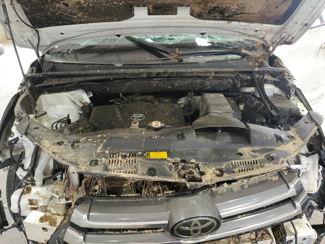 2019 Toyota Highlander Limited VIN: 5TDDZRFH6KS968533 Lot: 64466135