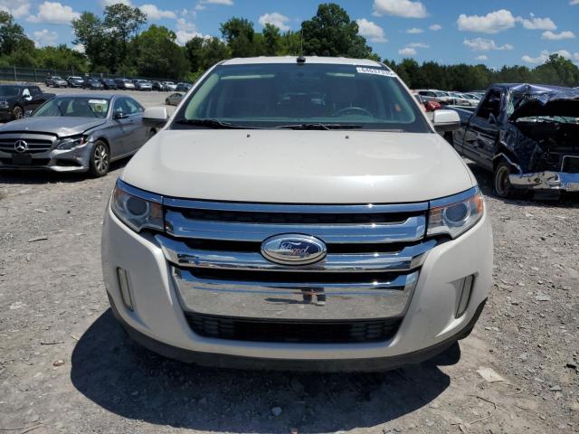 Паркетники FORD EDGE 2014 Белы