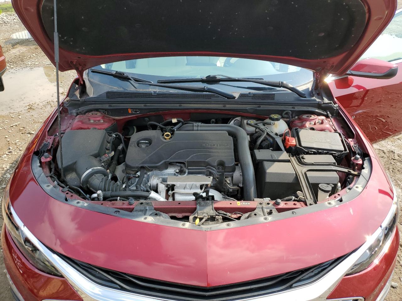 2019 Chevrolet Malibu Lt VIN: 1G1ZD5ST7KF120404 Lot: 66908955