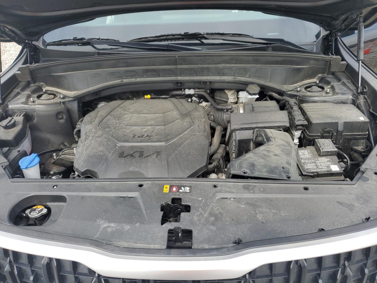 2024 Kia Telluride Lx VIN: 5XYP24GC6RG530772 Lot: 65376835