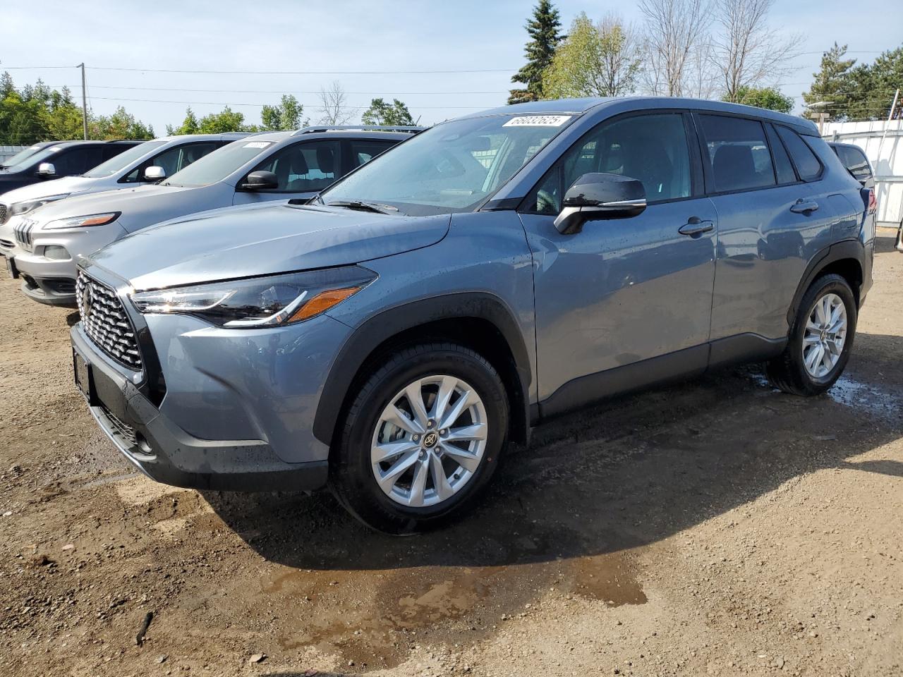 2025 Toyota Corolla Cross Le VIN: 7MUCAABG1SV128456 Lot: 66032625