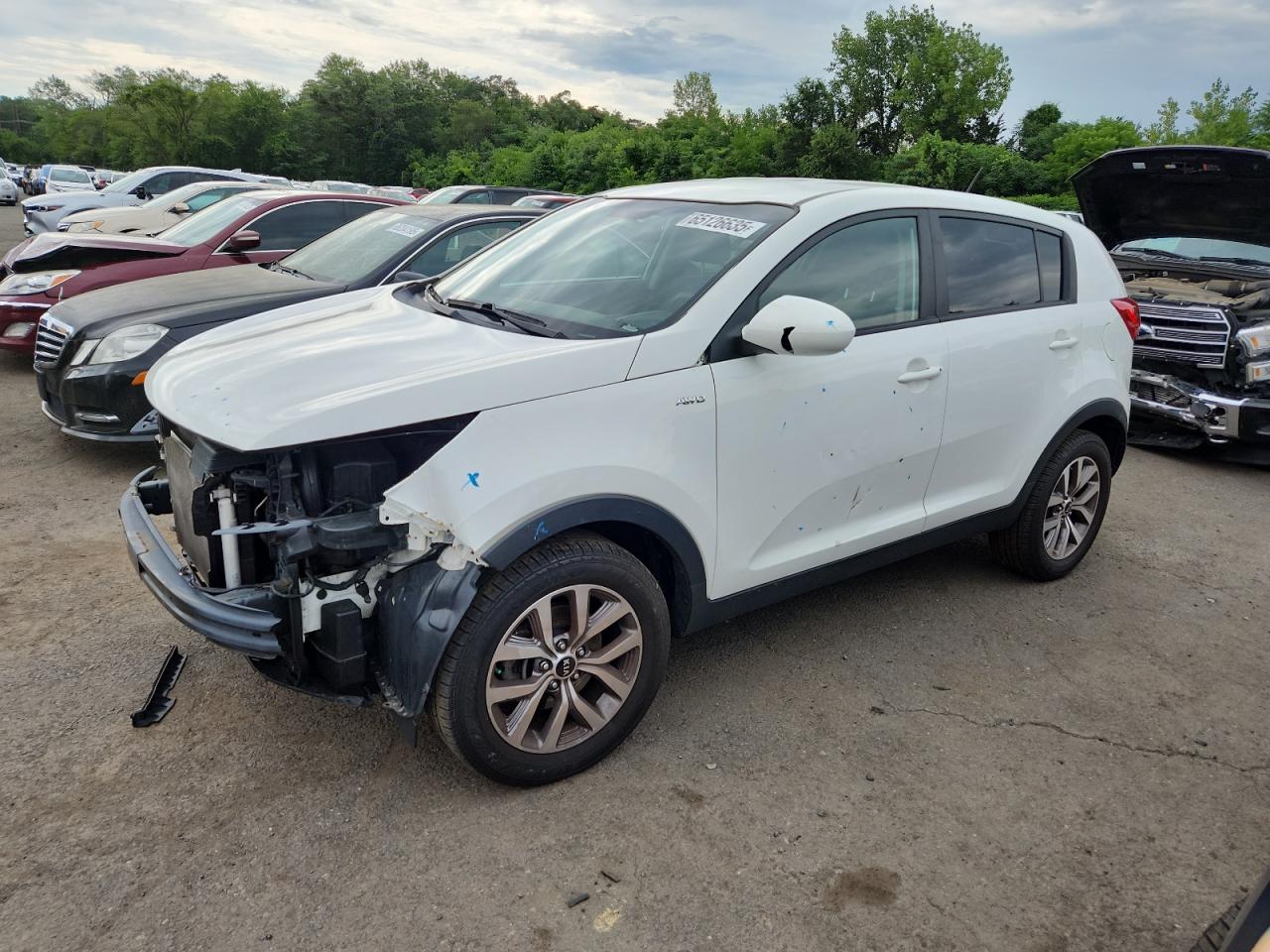 2014 Kia Sportage Lx VIN: KNDPBCAC7E7552399 Lot: 65126635