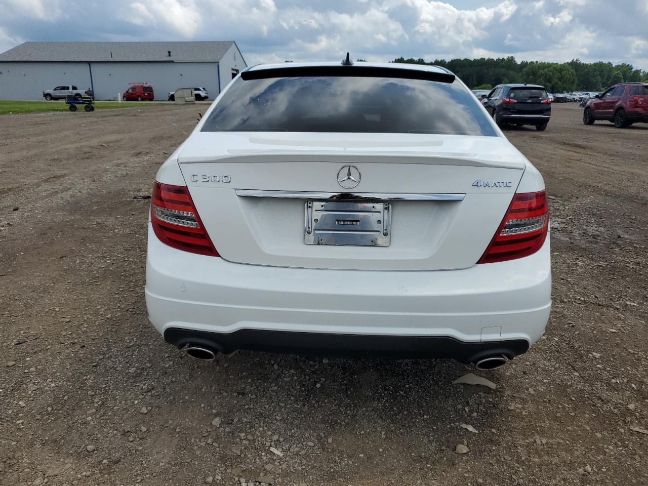 2014 Mercedes-Benz C 300 4Matic VIN: WDDGF8AB6ER303692 Lot: 65293905