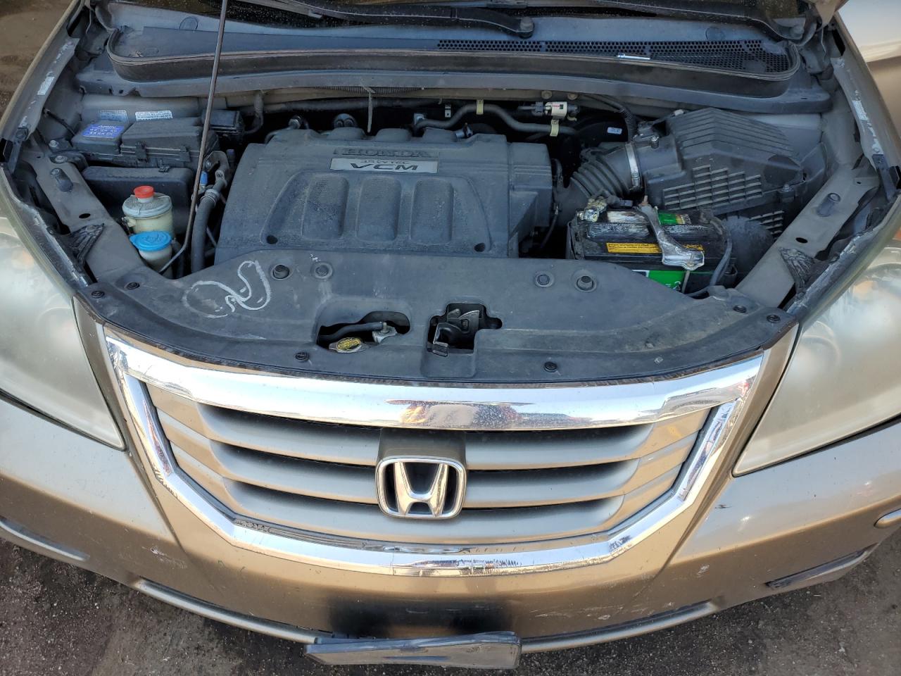 2010 Honda Odyssey Exl VIN: 5FNRL3H71AB099108 Lot: 59231115