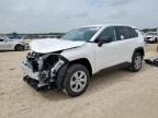 2025 TOYOTA RAV4 LE   for sale at Copart TX - SAN ANTONIO