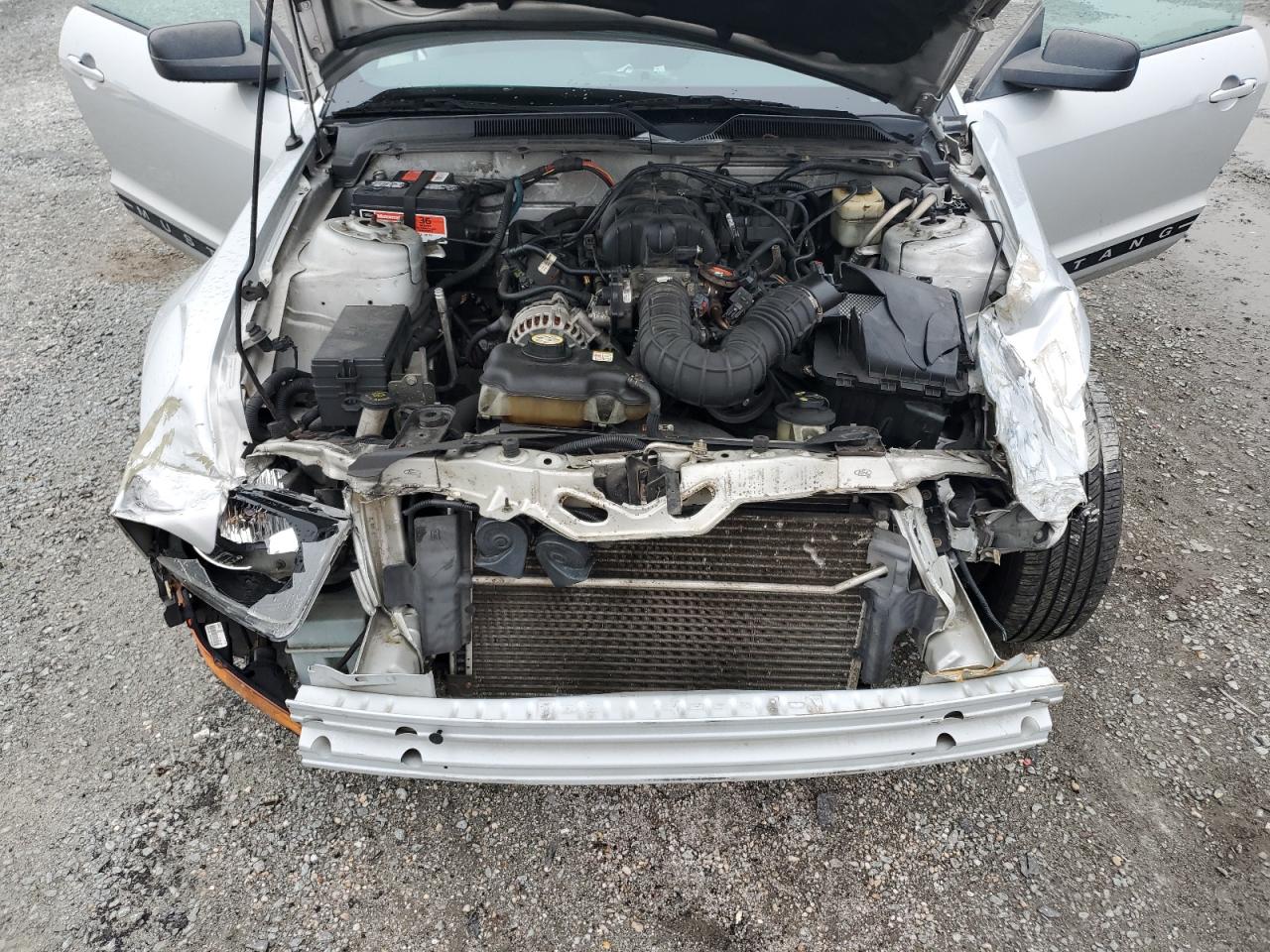 2007 Ford Mustang VIN: 1ZVFT84N775219294 Lot: 64268495