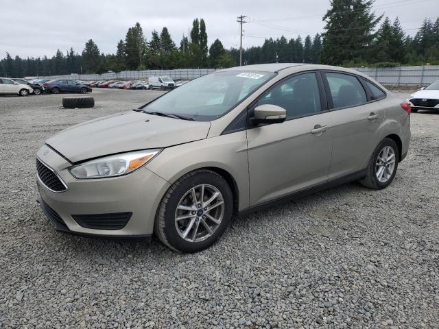 Sedans FORD FOCUS 2015 Cream