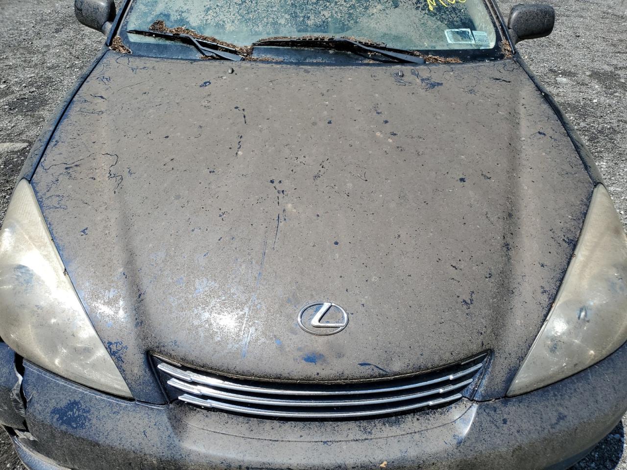 2002 Lexus Es 300 VIN: JTHBF30G020080973 Lot: 64981305