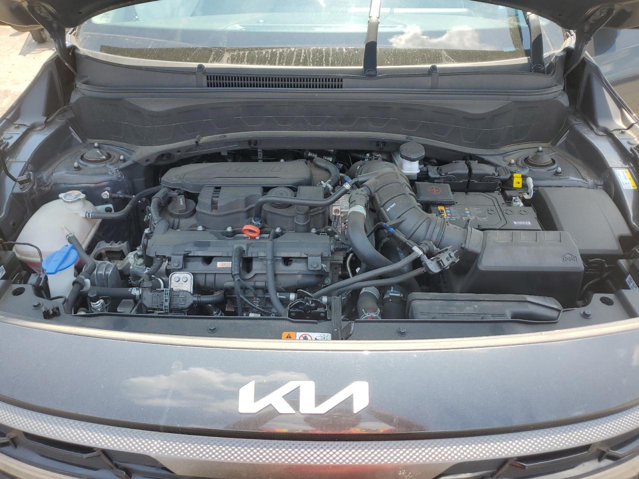 2024 Kia Seltos X Line VIN: KNDEUCA72R7561537 Lot: 66799535