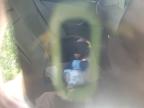 2006 LEXUS IS 250   for sale at Copart ON - COOKSTOWN