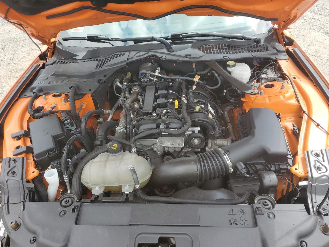 2021 Ford Mustang VIN: 1FATP8UH6M5142858 Lot: 64331495