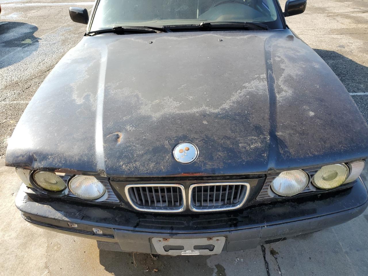 1995 BMW 525 I Automatic VIN: WBAHD6325SGK59193 Lot: 64906685