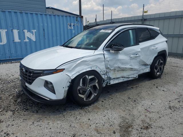  HYUNDAI TUCSON 2024 Белы
