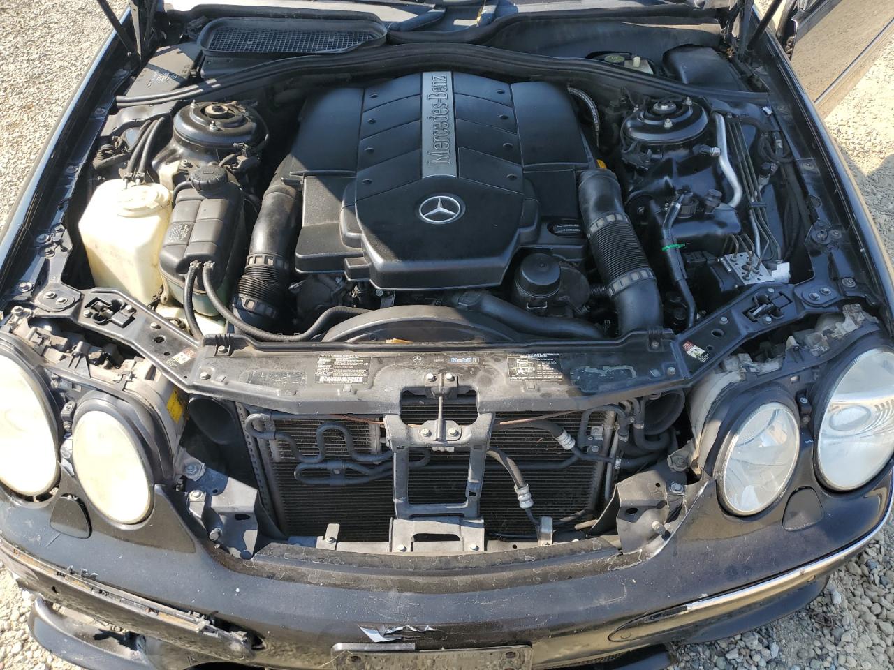2003 Mercedes-Benz Cl 500 VIN: WDBPJ75J33A036770 Lot: 64776885