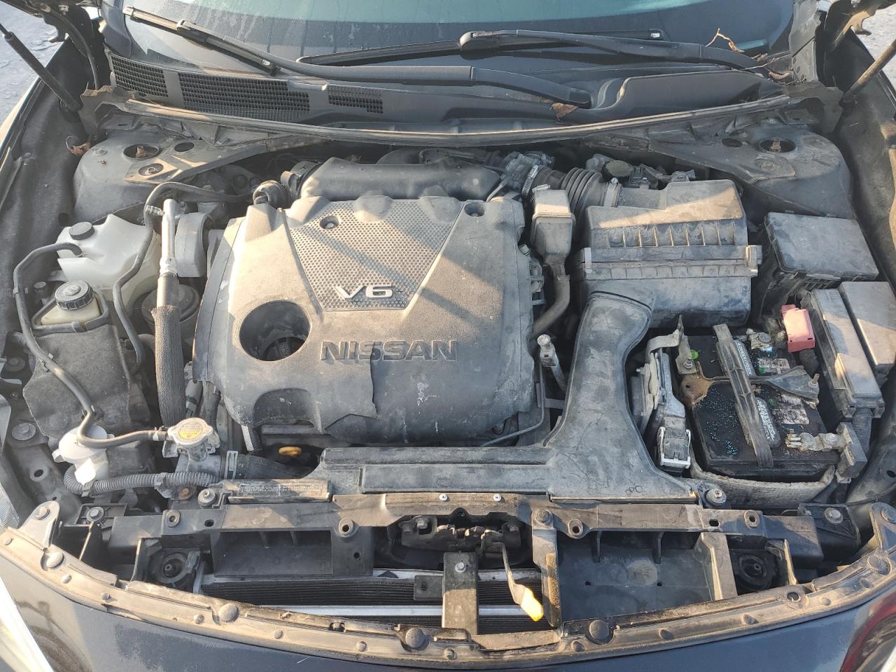 2017 Nissan Maxima 3.5S VIN: 1N4AA6AP0HC388489 Lot: 66264975