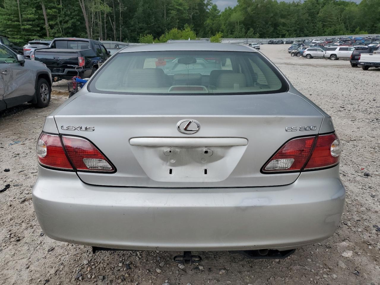 2002 Lexus Es 300 VIN: JTHBF30G825020913 Lot: 64006065