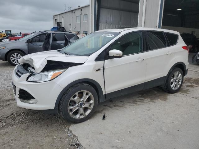  FORD ESCAPE 2013 White