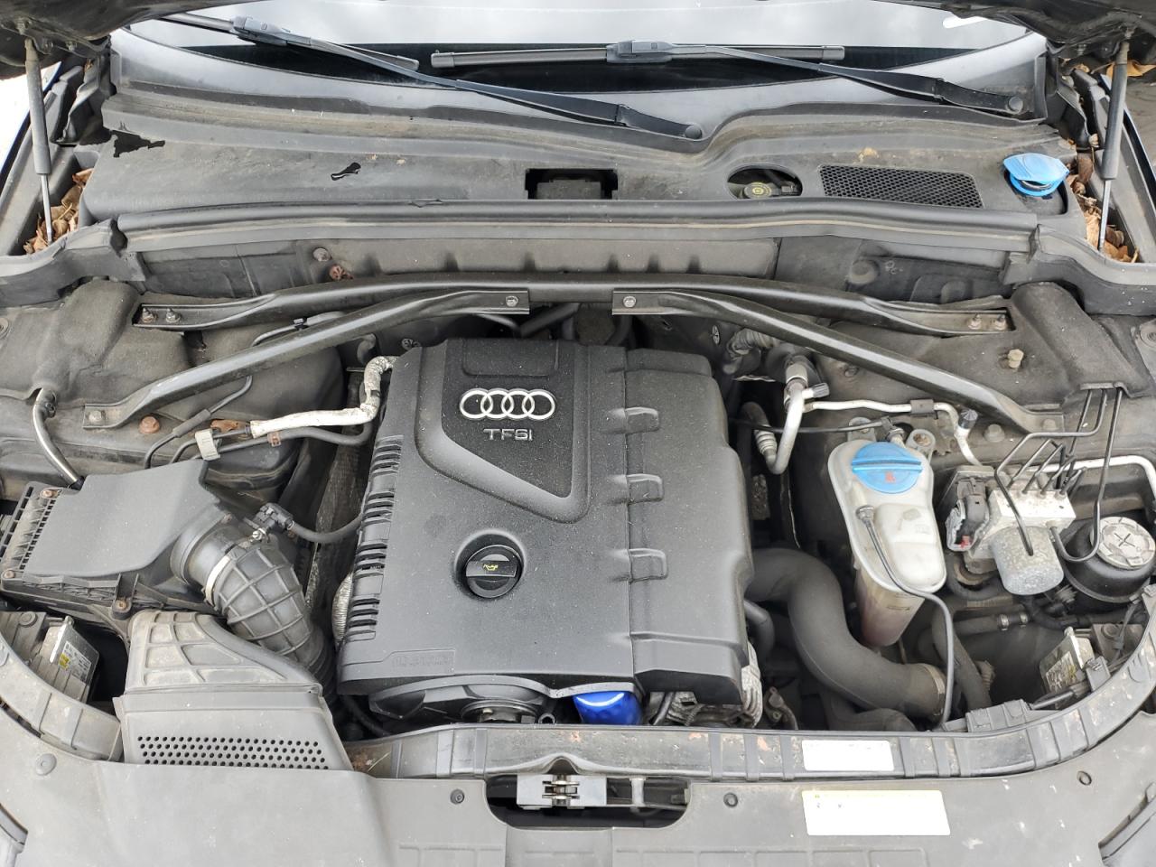 2011 Audi Q5 Premium Plus VIN: WA1LFAFP5BA069831 Lot: 63866645