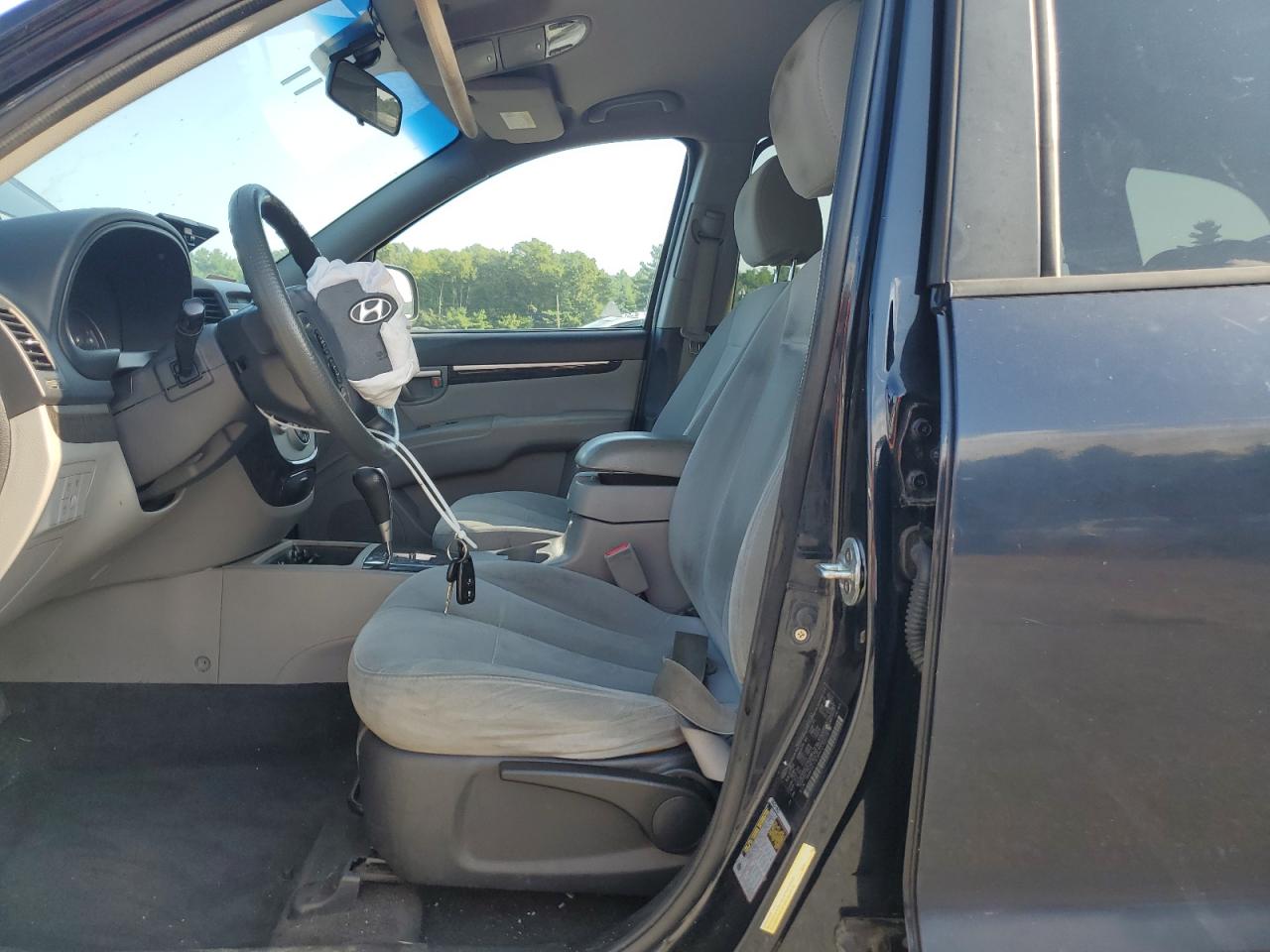 5NMSG73D89H239529 2009 Hyundai Santa Fe Gls