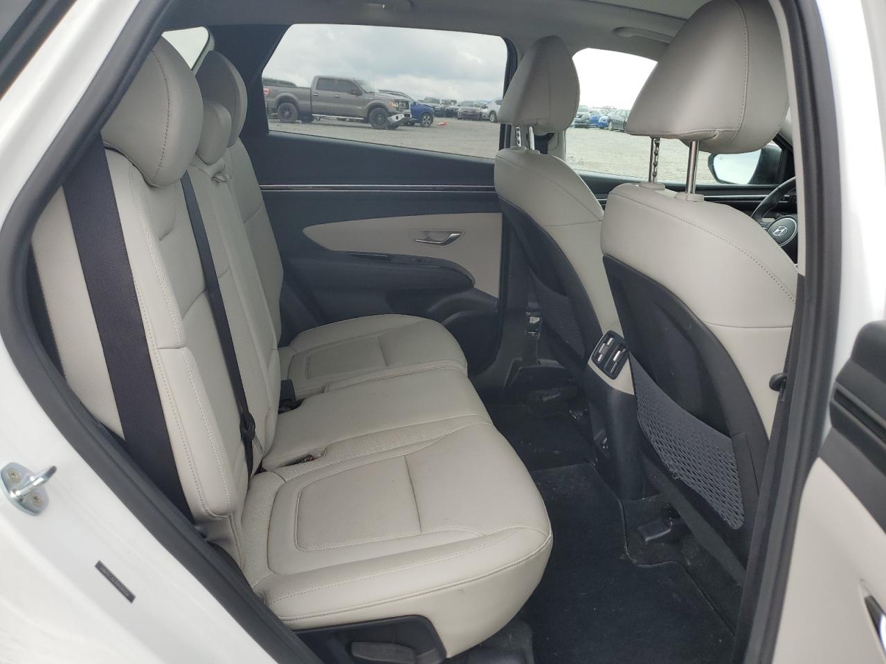 2022 Hyundai Tucson Limited VIN: 5NMJECAE3NH044356 Lot: 64102445