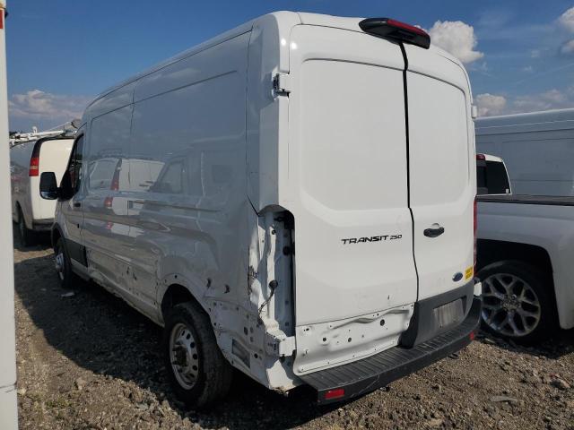  FORD TRANSIT 2023 Белы