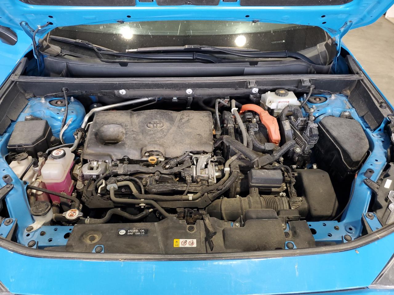 2020 Toyota Rav4 Xle VIN: 4T3RWRFV2LU007917 Lot: 63334475