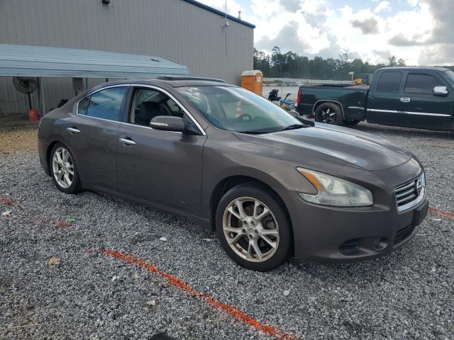  NISSAN MAXIMA 2012 Szary