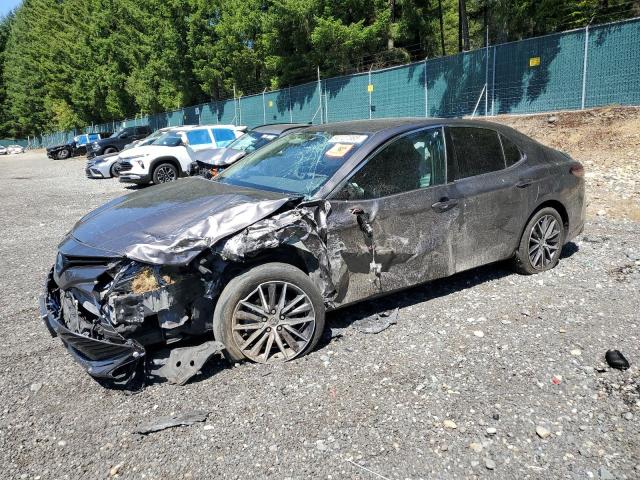  TOYOTA CAMRY 2023 Gray