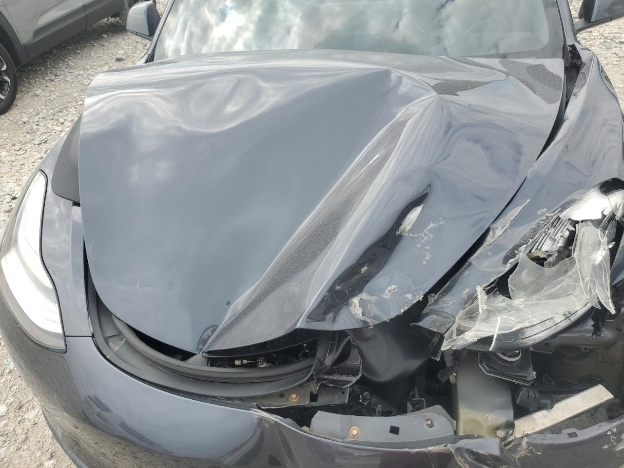 2021 Tesla Model 3 VIN: 5YJ3E1EC8MF856256 Lot: 66198405