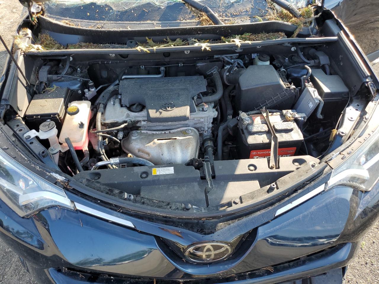 2017 Toyota Rav4 Le VIN: 2T3ZFREV0HW317685 Lot: 63182485