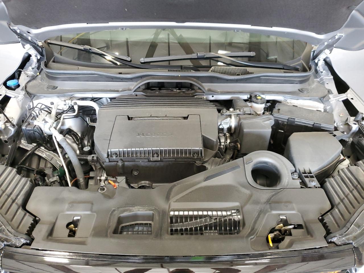 5FNYG1H69SB051031 2025 Honda Pilot Trailsport