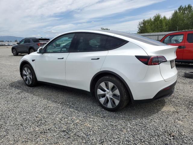  TESLA MODEL Y 2023 Biały