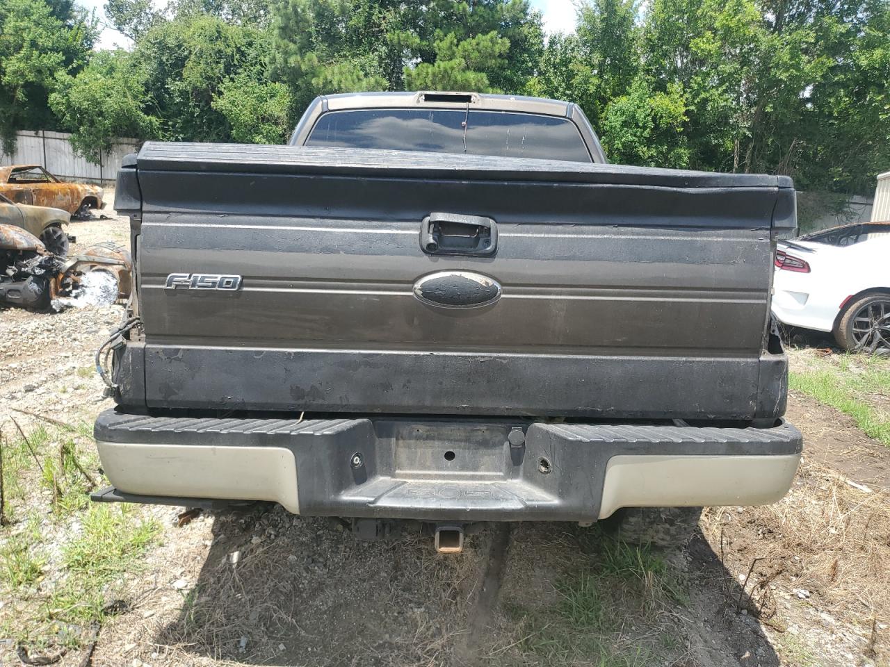 2009 Ford F150 Supercrew VIN: 1FTPW14V19KB82091 Lot: 63562645