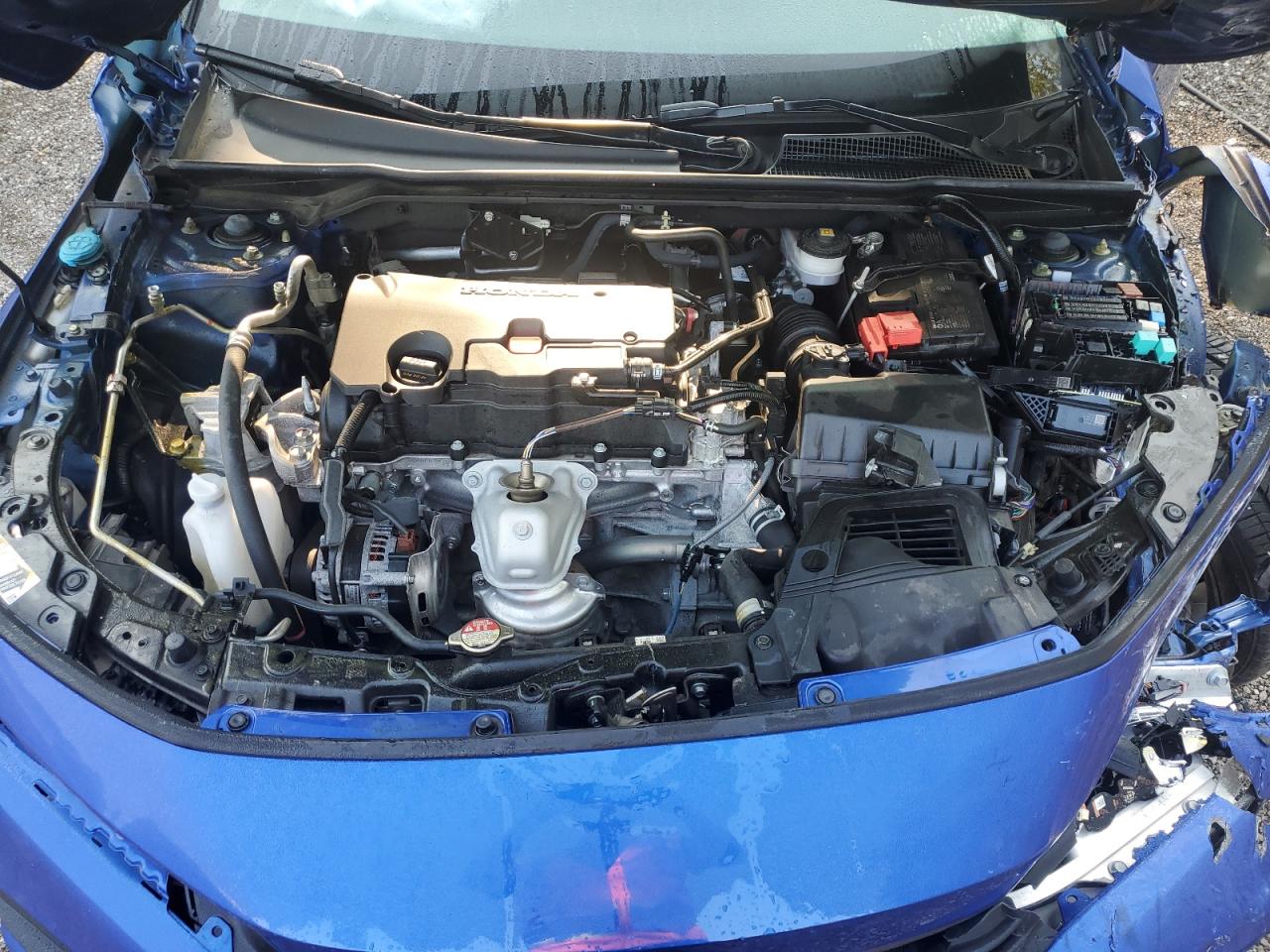 2024 Honda Civic Sport VIN: 2HGFE2F55RH116301 Lot: 63017365