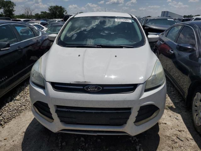 Паркетники FORD ESCAPE 2016 Белы