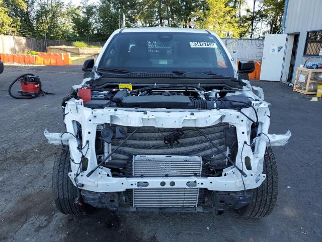  CHEVROLET COLORADO 2023 White