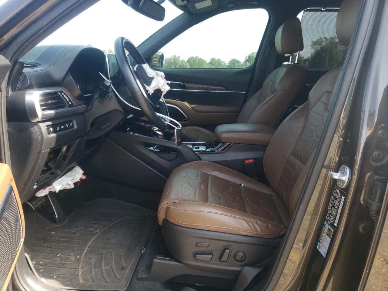 2021 Kia Telluride Sx VIN: 5XYP5DHC9MG126301 Lot: 63146965