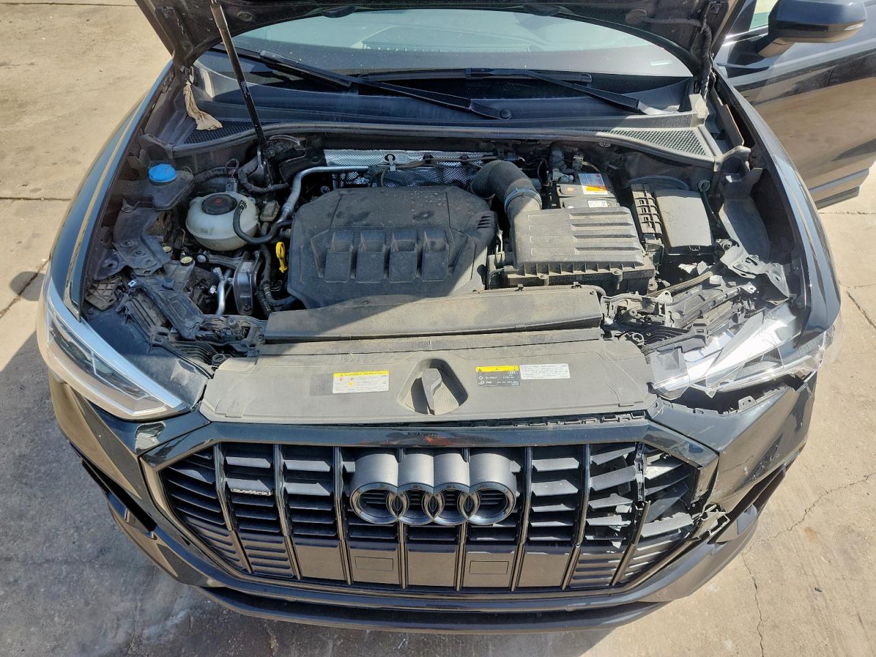 2021 Audi Q3 Premium Plus S Line 45 VIN: WA1EECF33M1123960 Lot: 65382235