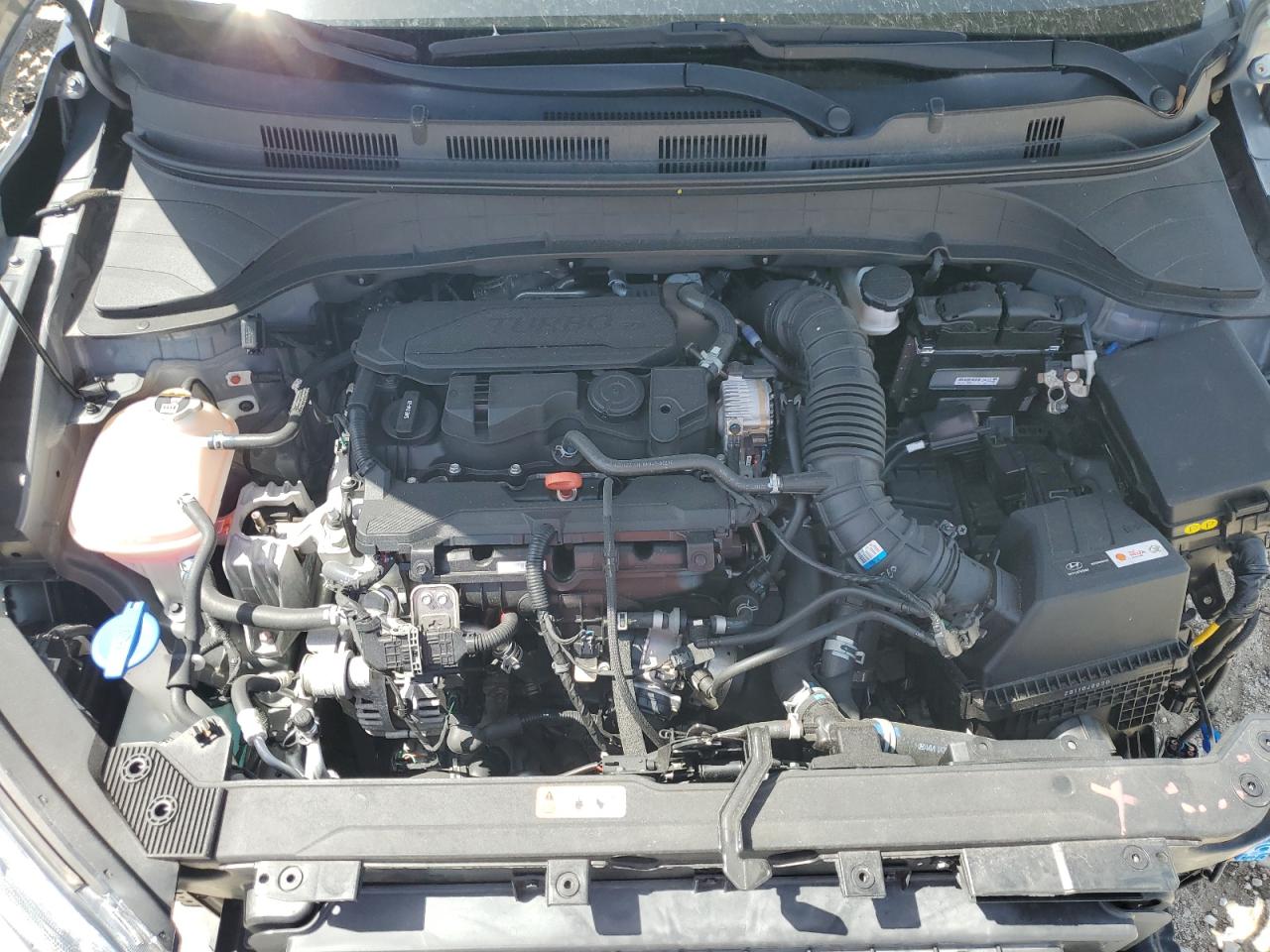 2023 Hyundai Kona N Line VIN: KM8K33A36PU993156 Lot: 63763705