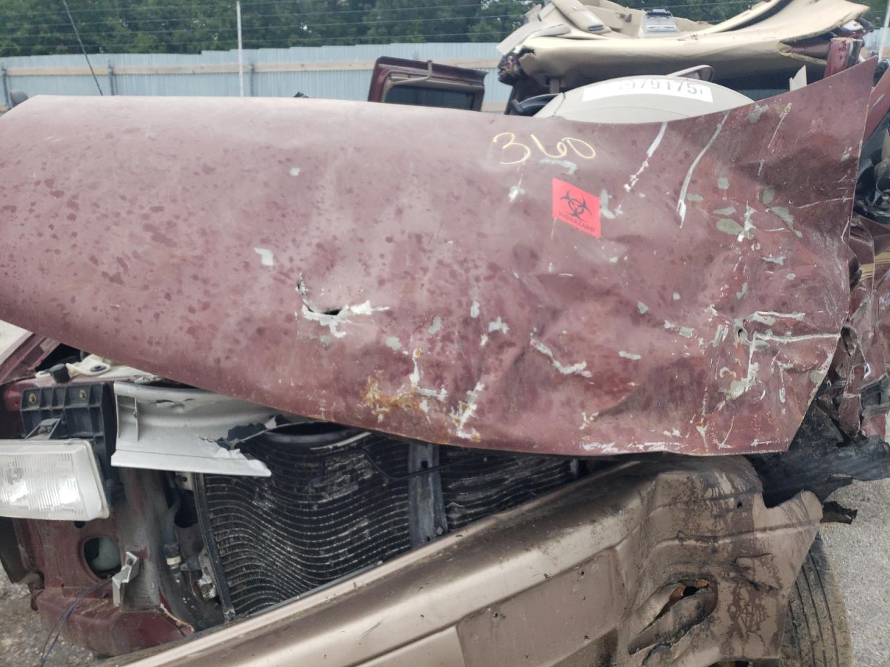 1998 Chevrolet Astro VIN: 1GNDM19W2WB144513 Lot: 64979175